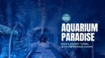 Aquarium Paradise